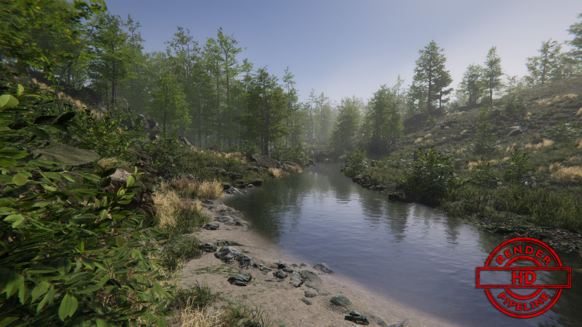 Forest Environment - Dynamic Nature