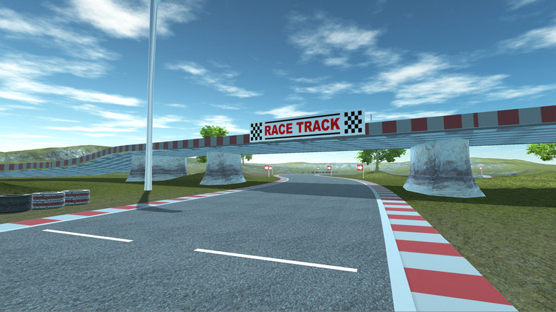 Race track level