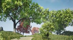 Tree Pack (Assorted Maple Trees) - Unity Asset